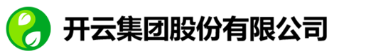 开云集团股份有限公司